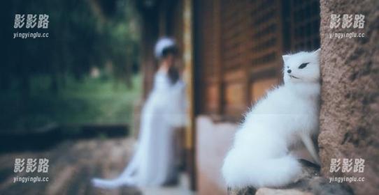 好H好女杀手 微密圈 - 照片更新,浴缸篇:“好H好女杀手”的水中漫游,你懂的
