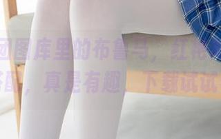 森萝财团图库里的布鲁马，红艳艳的和黑丝的搭配，真是有趣，下载试试看吧。