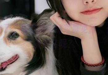 春天来了，樱群的学妹写真更新，你还在等什么呢？