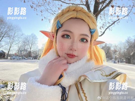 这个泡泡就是逊啦 这个泡泡就是逊啦的连衣裙大冒险:一场高清写真集的绚丽旅行